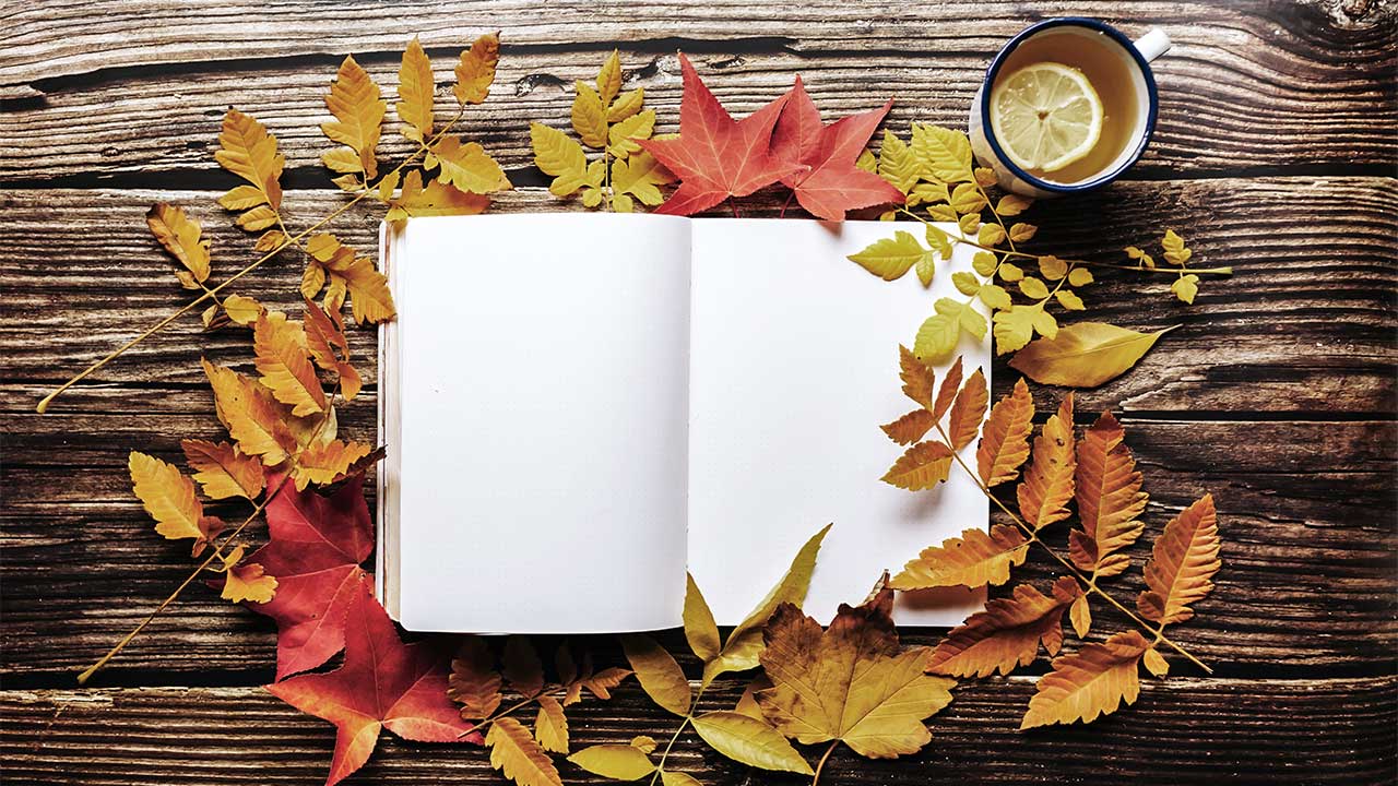 geöffnetes Buch, umgeben von herbstlichen Blättern, auf einem Holztisch