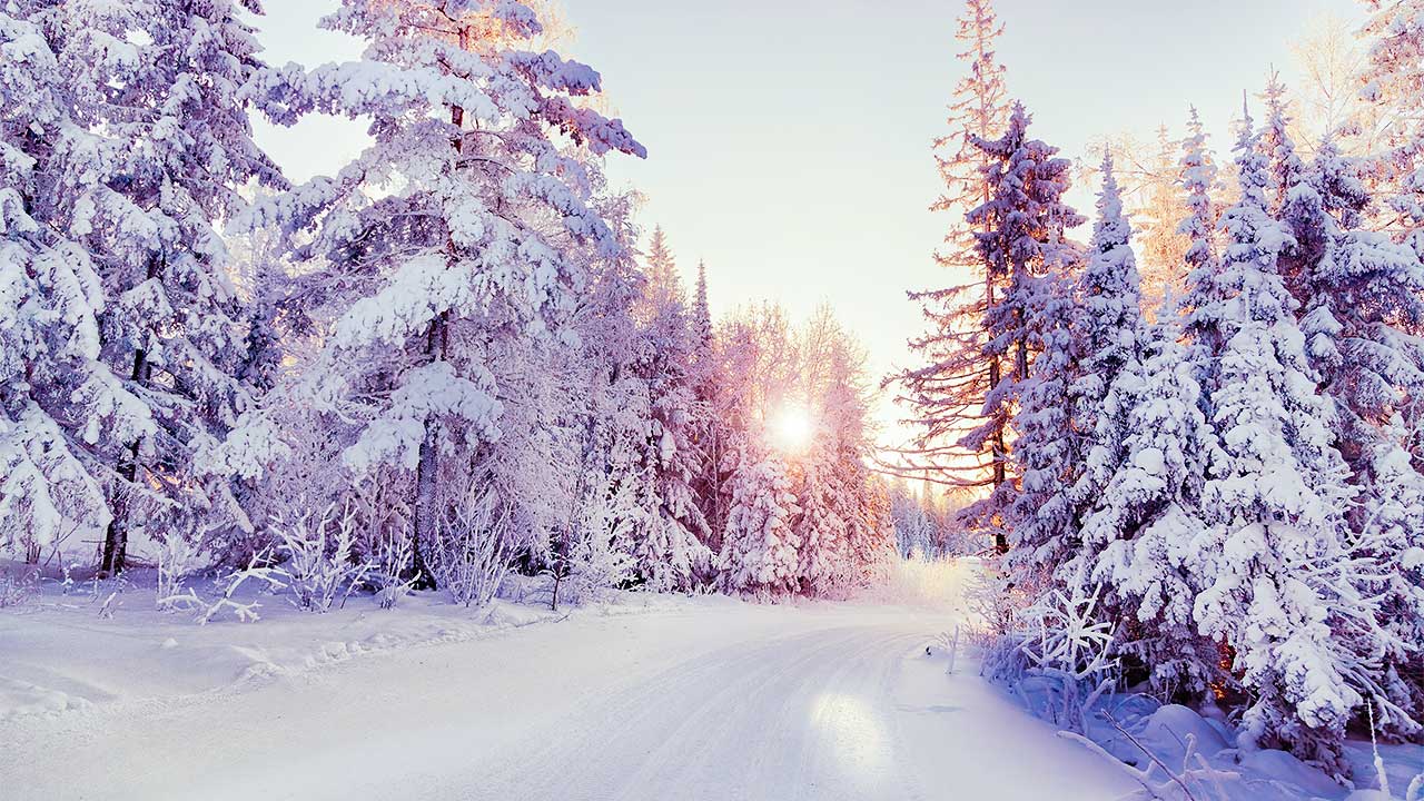 Winterlandschaft mit Bäumen und Weg