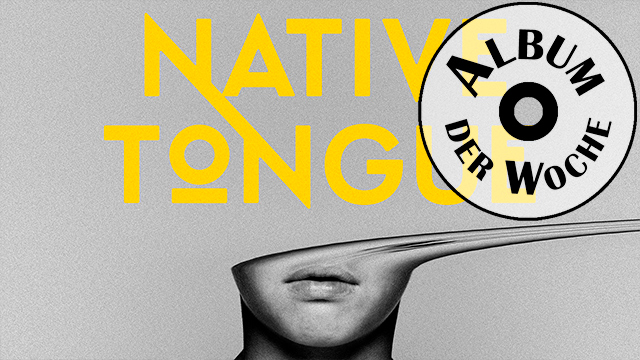 «Native Tongue» von Switchfoot