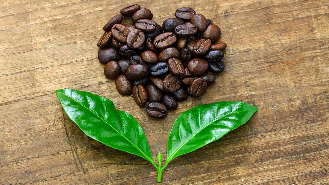 Kaffeebohnen in Herzform als Symbol für fairen Handel