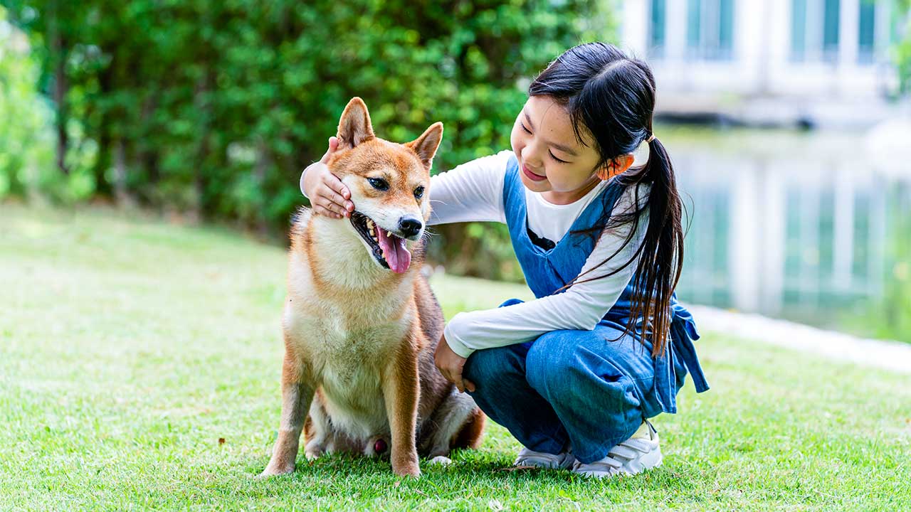 Mädchen mit einem Shiba-inu-Hund im Park