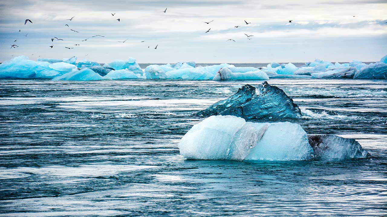 Eisbergstücke bei Island