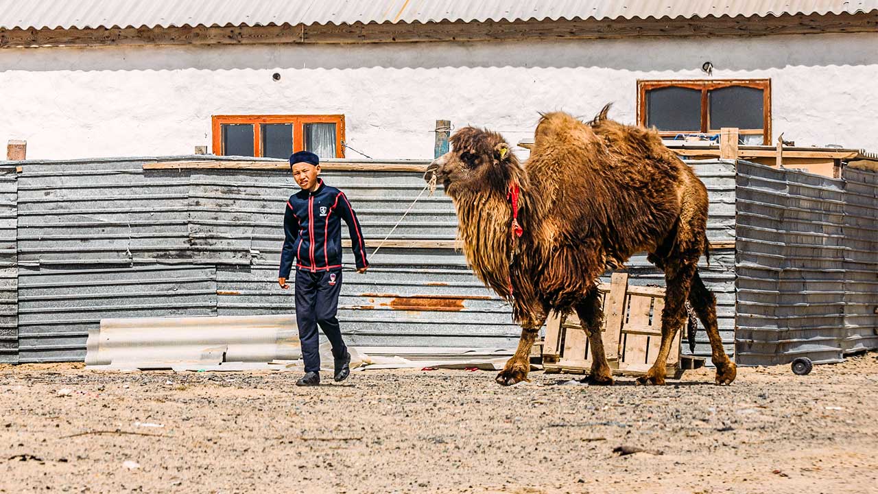 Junge mit Kamel in Aralsk, Kasachstan