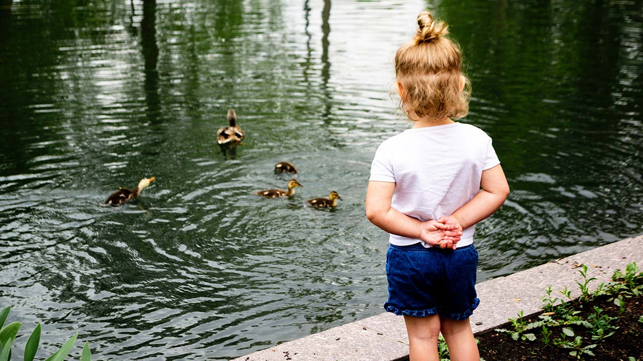 Kind beobachtet eine Entenfamilie | (c) unsplash