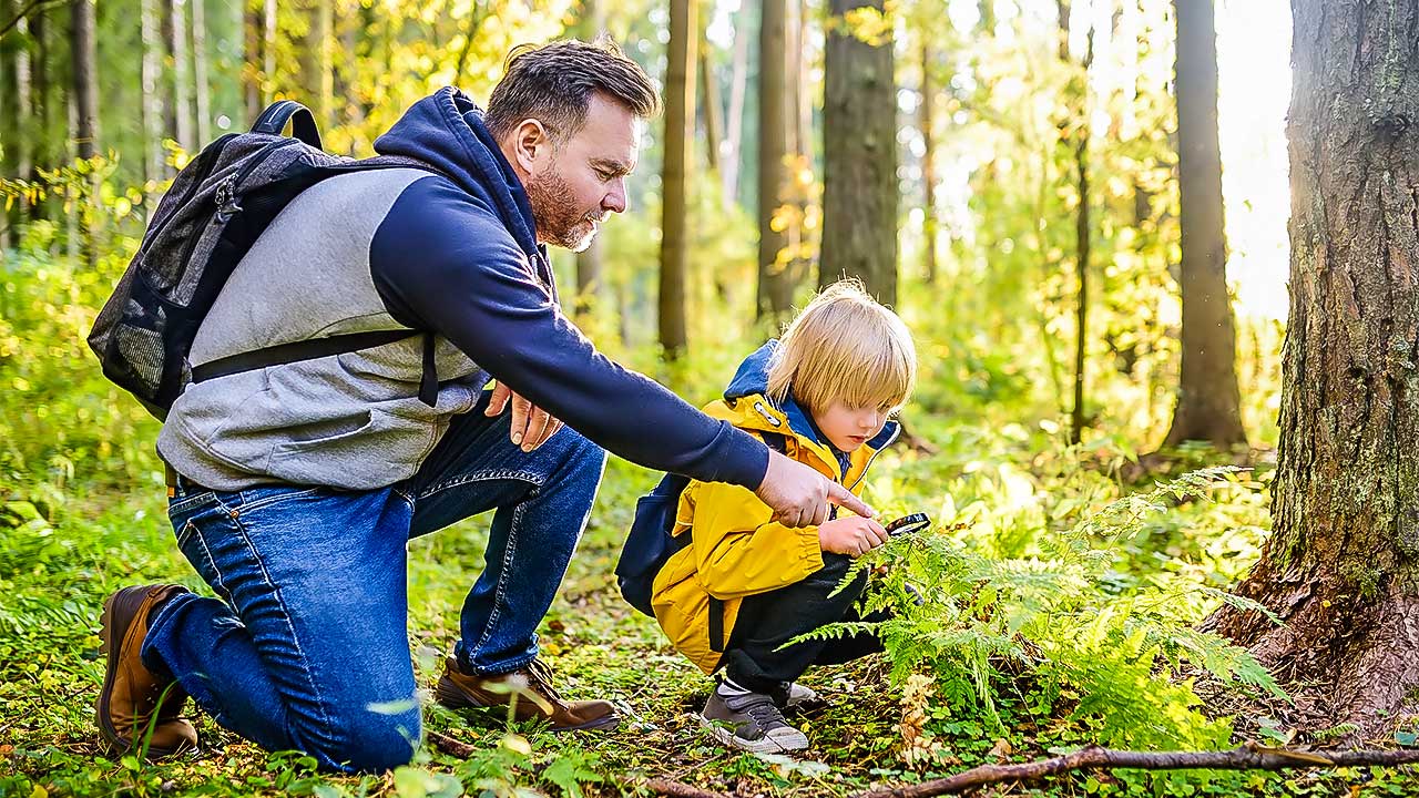 Vater und Sohn untersuchen Pflanzen in einem Wald
