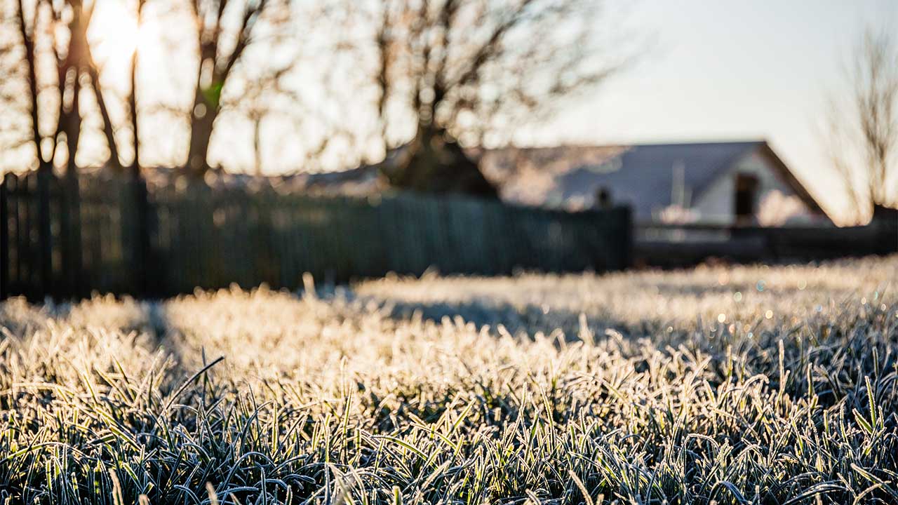 Frost auf einem Rasen mit Morgensonne