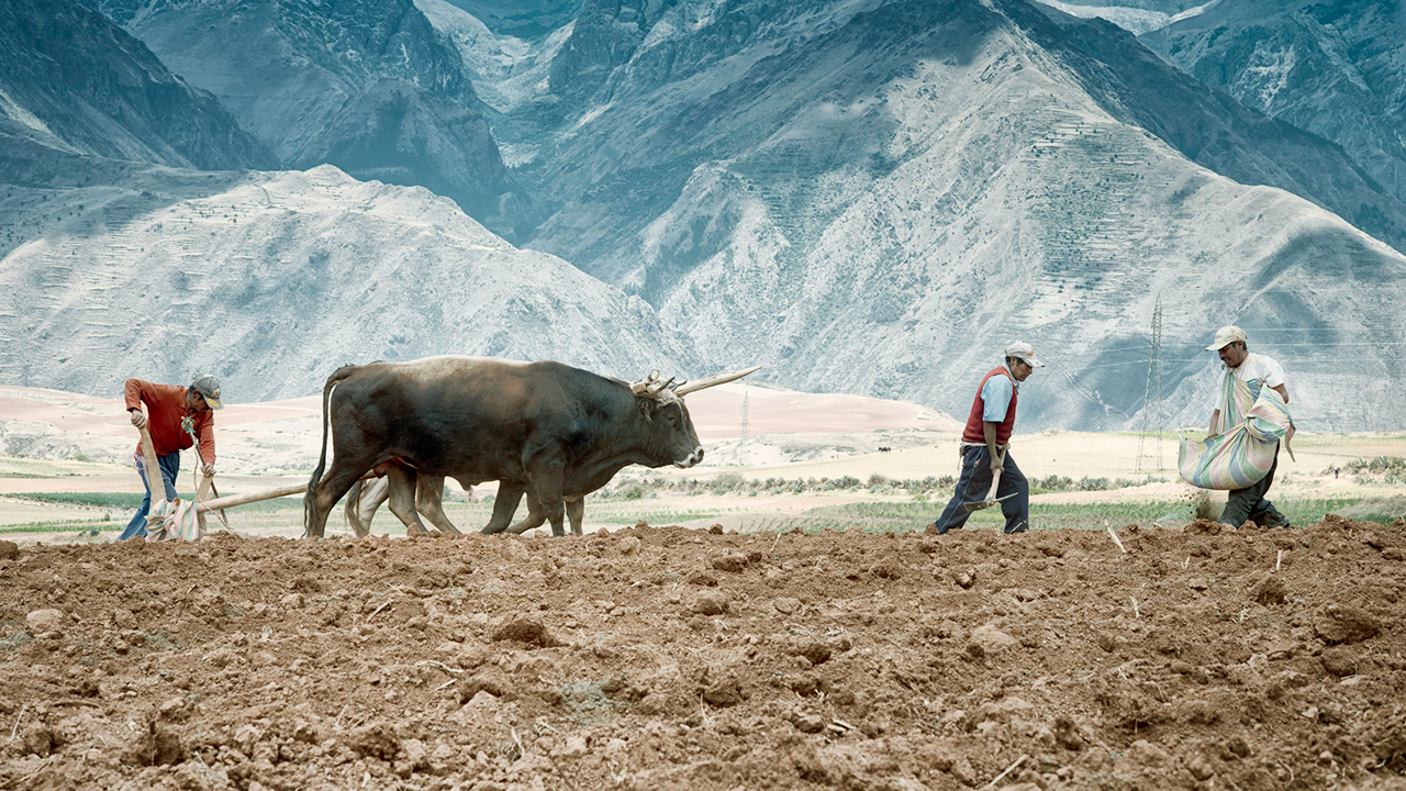 Bauern im Urubamba-Tal in Peru