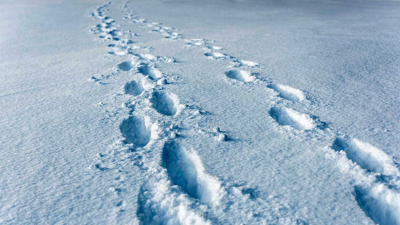 Spuren von zwei Menschen, welche zusammen im Schnee unterwegs sind