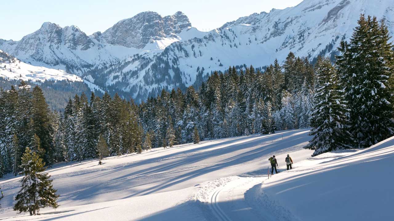 Eine verschneite Landschaft mit zwei Personen beim Langlaufen