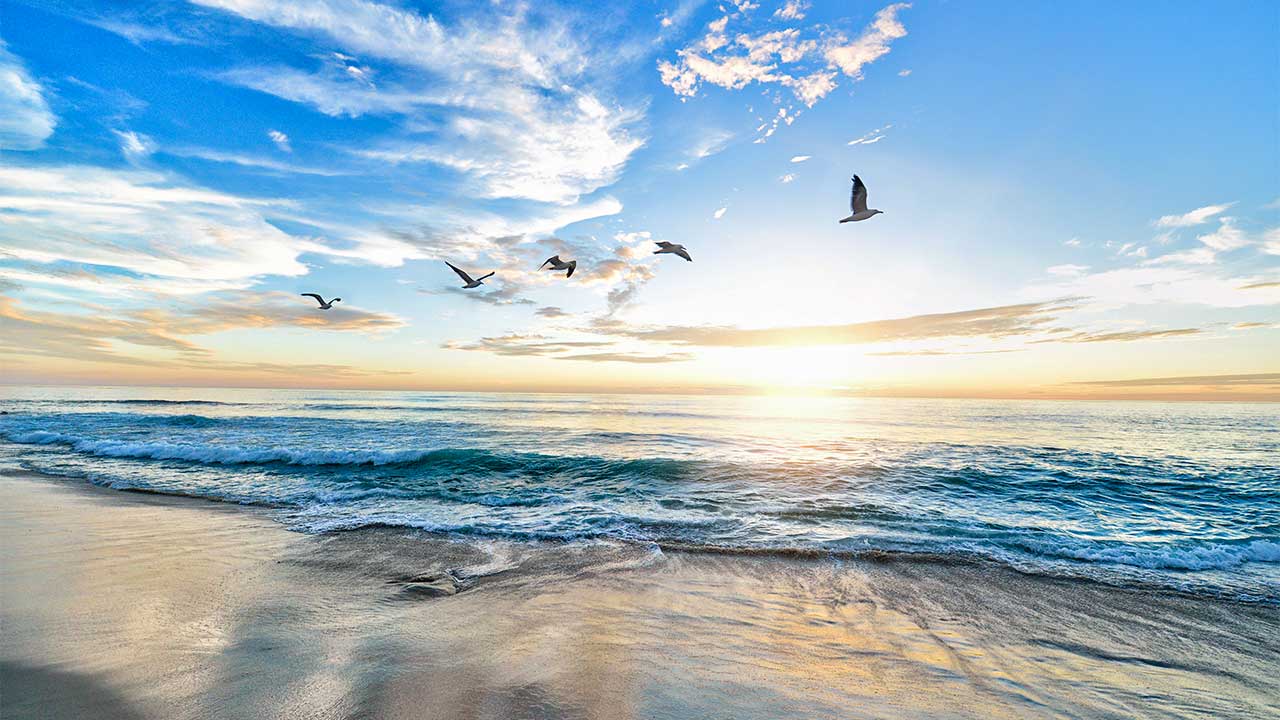 Strand bei Sonnenuntergang mit vorbeifliegenden Vögeln